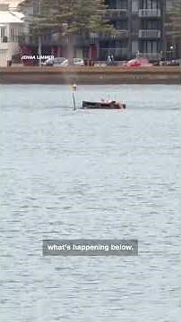Swimmer has close encounter with Orca in New Zealand