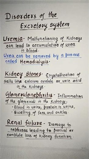 Disorders of the Excretory System. Ch.19 Excretory System CLASS -11 BIOLOGY