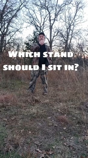 Trying to decide what tree stand to sit in#treestand #deerseason #deer #deerhunting #decision