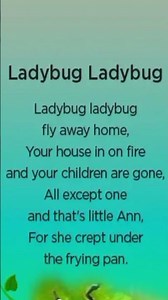 Ladybug Ladybug Kids Rhyme Insect Song for Children