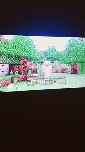 Minecraft PS3