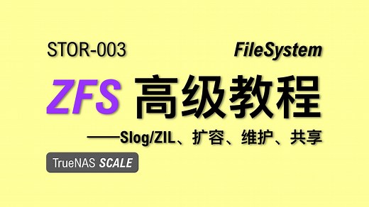 【老湿基】TrueNAS   ZFS 高级教程 (1) | ZFS 原理、阵列扩容、错误恢复、ZIL 写日志、Slog