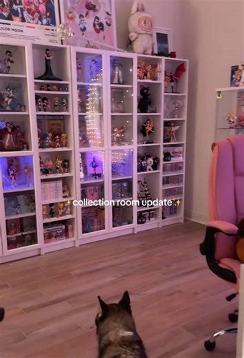 Cozy Collection Room Update: Sailor Moon & Plushies