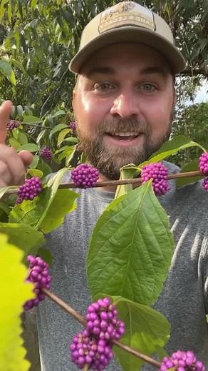 119K views · 10K reactions | How we landscape can have positive or negative effects on native biodiversity. It’s up to us to make the decision to support native biodiversity! Plant what’s native to your area! #nativehabitatproject #plantnative #nativeplants #conservationlandscaping #conservation #biodiversity | Native Habitat Project | Facebook