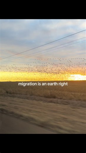 nomadiclensstudio (@nomadiclensstudio)’s videos with country (60) - DJ BAI