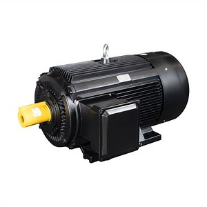 [Hot Item] Tcyp180L-1500/22kw Frequency Variable Reluctance AC Synchronous Electric Motor