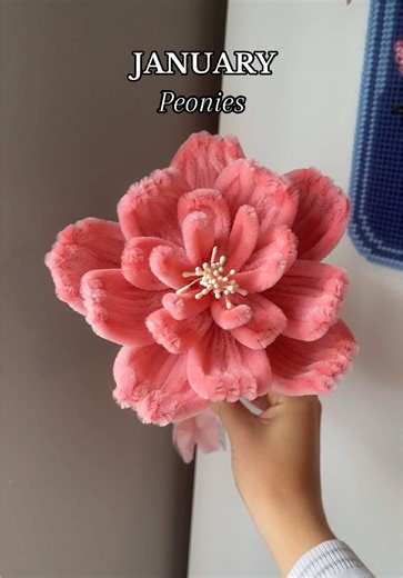 January Birth Flowers: Discover Your Peonies