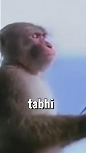 I Fixed Famous Logos