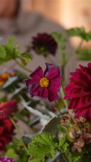 Hungry for Home on Instagram: "One Thanksgiving, I cooked three “fresh” turkeys that turned out to be frozen solid in the middle. Forty guests, no turkey, and one ham later, it became one of my favorite family memories. It’s a good reminder that Thanksgiving isn’t about perfection, it’s about the people gathered around the table. Watch the full episode, Thanksgiving at Hillside Farm | At Home with Ruth McKeaney, to see what we cook up for a very special Friendsgiving – out now on @homeworthy’s Y