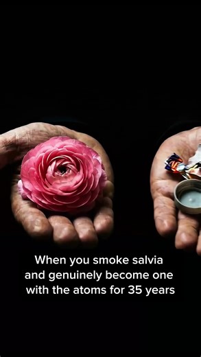 #fyp #fypage #life #rave #salvia