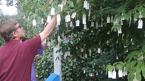 2.3K views · 143 reactions | Yoko Ono's "Wish Tree for Washington, DC" opens for the season on July 1st! Join us next week to share your wishes! | Hirshhorn Museum and Sculpture Garden | Facebook