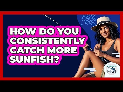 How Do You Consistently Catch More Sunfish? - Chasing Big Fish