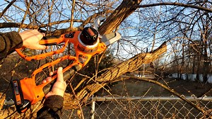 Watch Black & Decker 20V Cordless Alligator Lopper | Safer To Use! on Amazon Live