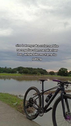 Negative Stem and Riser Bar: Build Your Bike Slowly