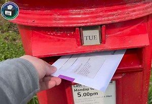 Watch: Instructions how to fill in a postal ballot issued