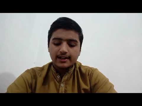 What is single cell protein briefly explained in video