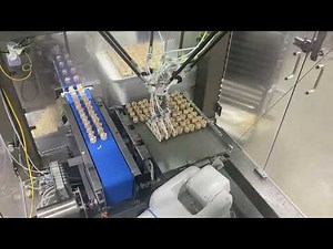 Robotic food handling workcell showing multi-robot collaboration and handling of delicate siomai