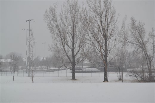 Fort Collins winter weather returns with snow likely on April 17