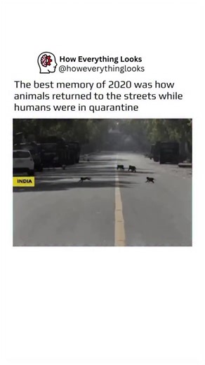 How Everything Looks | "The best memory of 2020" is a viral meme that uses a doctored photo to illustrate a popular perception of the COVID-19 lockdowns. The... | Instagram
