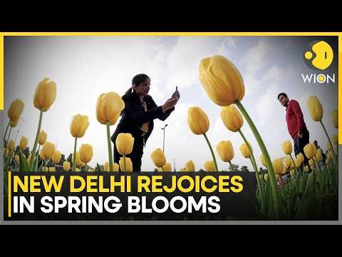 Spring in Full Bloom: New Delhi Welcomes the Season with Color and Cheer | WION