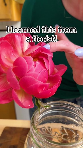 How to Make Peonies Bloom: Tips and Tricks for a Stunning Bouquet