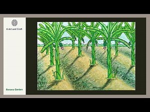 How to draw Banana garden step by step banana trees drawing Banana tree scenery