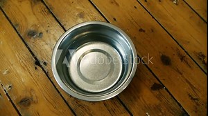 iPhone falling into a dog bowl making a massive splash of water on the wood floor accidents happen, frustrated business man, soaking wet broken phone, big mistake insurance claim for this mobile phone