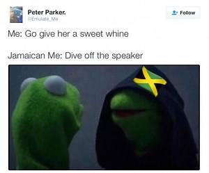 Petty Alert! More Hilarious Good Kermit/Evil Kermit Memes
