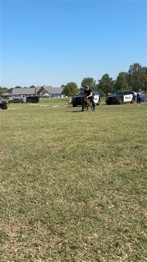 10K views · 183 reactions | BARTLETT POLICE DEPARTMENT on Reels | Facebook