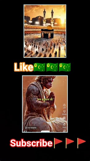 🇨🇨🇨🇨🇨🇨🚩🚩🚩🚩