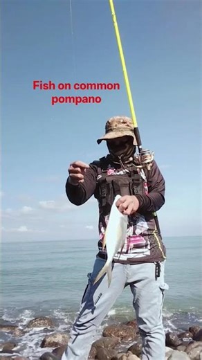 big common pompano #fishing