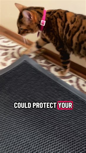 Say goodbye to muddy footprints and messy floors 👣✨ This doormat uses advanced 3D mesh technology to trap dirt and debris before it ever reaches your home. Built with durable construction, it stands up to everything from heavy boots to bare paws, perfect for busy homes and pet owners alike. Use it anywhere, entryways, patios, garages, or mudrooms — it keeps every space cleaner and more organized. When it’s time to wash, just rinse or toss it in the machine, it’s effortless to maintain and dries