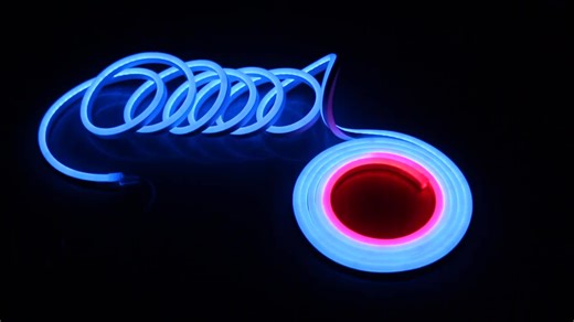 LED Neon 12v 24v SMD 2835 2025 Lucse Led Fita RGB Flexible Tiras Led IP20 /65 Smart RGB Bande Led Colorful Strips Lights RUBAN