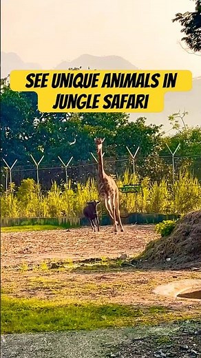 Statue of Unity Gujarat | Jungle Safari Adventure