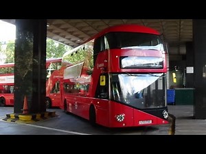 (FRV) Arriva London Route 59: Euston Bus Station - Streatham Hill, Telford Avenue | LT733 (LTZ1733)