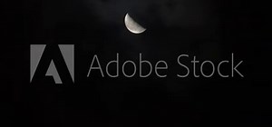 Tokyo,Japan - November 24, 2024: American tulip tree on blue sky background in winter