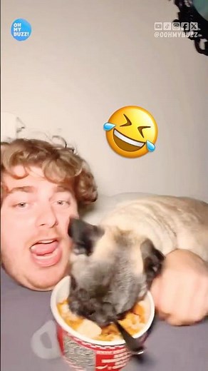 The end 🤣🤣🤣