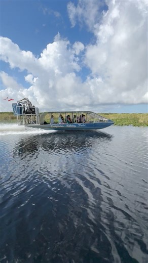 Flying down the speed trail on one of our airboats is pure Florida fun. The roar of the engine, the rush of the wind, and the wide open Everglades all around you. That’s what memories are made of. If you’re looking for something exciting to do this Labor Day weekend, come check out Everglades Holiday Park and see why our airboat tours are a must-do in Fort Lauderdale.✌️❤️🐊 #EvergladesHolidayPark #AirboatTour #EvergladesAirboatRide #FortLauderdaleAirboatTour #ThingsToDoInFortLauderdale #LaborDay