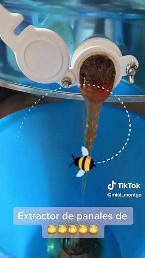 Extractor de miel: Guía fácil para apicultores