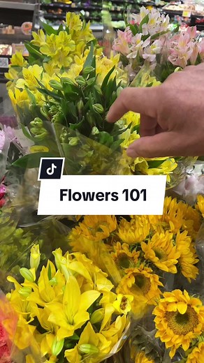 How to Pick Out Flowers 101: Expert Advice for Men