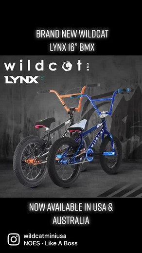 Discover the New Wildcat Lynx 16” BMX Bike