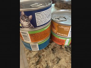 Library Holds Donation Drive For Local Animal Shelters