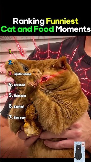 Ranking funniest Cat and Food Moments...
