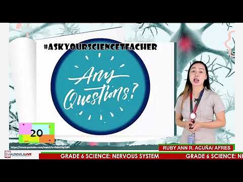 GRADE 6 SCIENCE NERVOUS SYSTEM