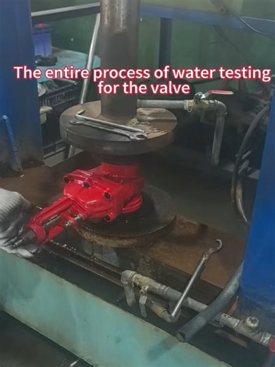 Gate Valve Full Water Test 💦🔧 From start to finish — full testing process to ensure tight sealing and reliable performance. 🔥✨ #Sunroom #GateValve #WaterTest #FireSafety #ValveTesting #FireProtection #QualityCheck