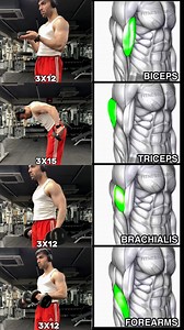 ✅ Dumbbell Arm Day• Waiter Curl@ Kickback® Drag Hammer Curl• Reverse Curl3sets 12-15 reps #fitness #gym #exercise #workout #workoutroutine #exercisetips #fitnesstips #bodybuilding #armworkout #armday | Sidfitfacts