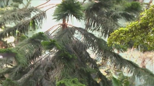 Secret safari at the zoo