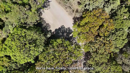 25K views · 164 reactions | Bass Point Tourist Road is getting an...