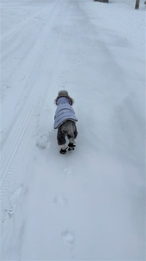 These boots are made for walking! | Janice Dean