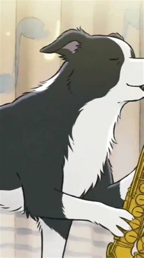 狗🐶喜欢听的音乐🎶, Rhythmus für gute Stimmung vom Hund #funny #老友狗狗 #cute # Dogmusik# Hundmusik